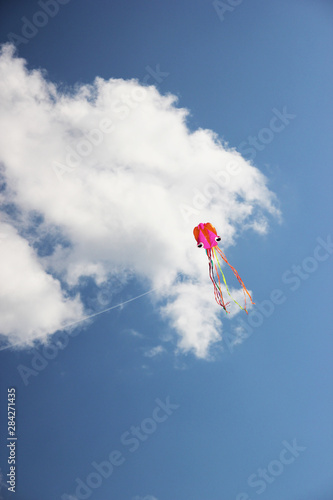 free flight of a flying kite