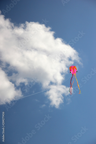 free flight of a flying kite