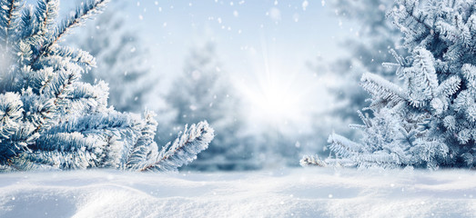 Blue winter christmas nature background frame, wide format. Snow-covered fir branches, snowdrift against defocused blurred forest and falling snow. Close-up, copy space.