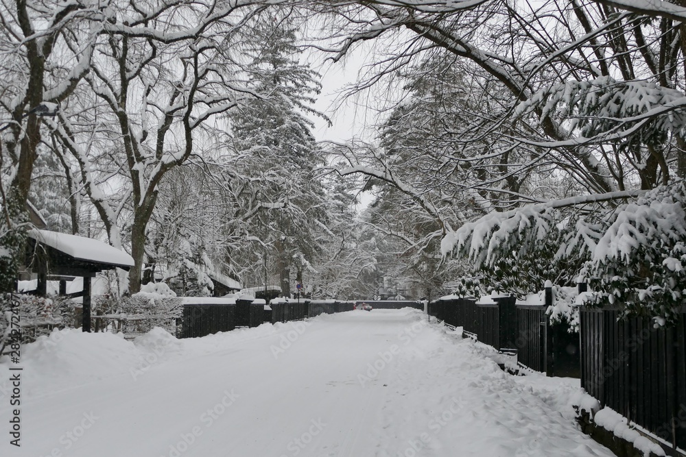 Naklejka premium 《角館の冬》秋田県仙北市