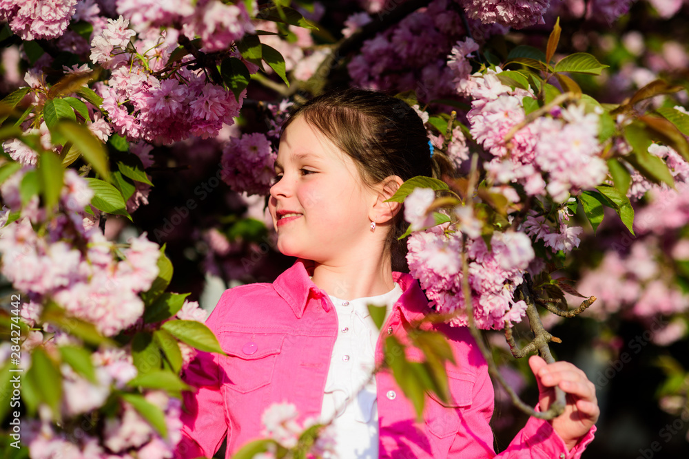 Fototapeta premium summer. Childhood beauty. happy girl in cherry flower. Sakura tree blooming. small girl child in spring flower bloom. skincare spa. Natural cosmetics for skin. blossom smell, allergy. Natural beauty