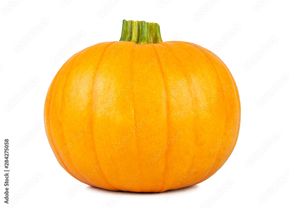 Obraz premium Ripe fresh pumpkin on a white background