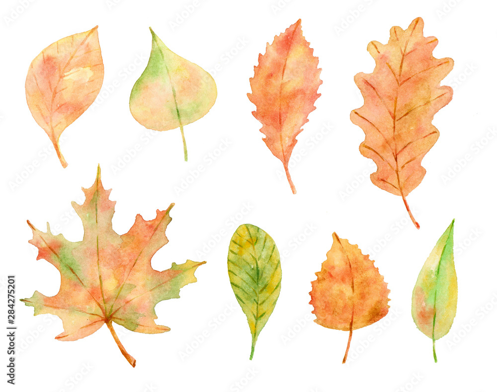 Watercolor collection of autumn leaves. 
