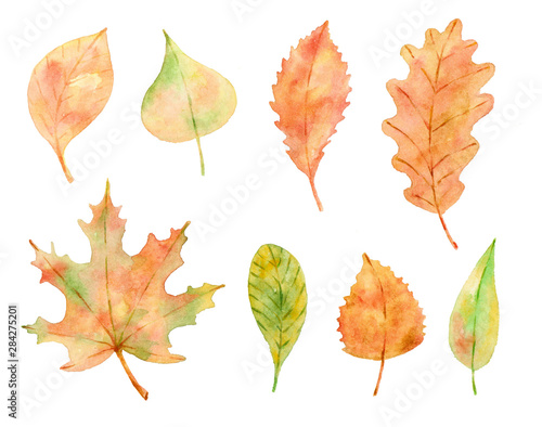 Watercolor collection of autumn leaves.  © vestalana