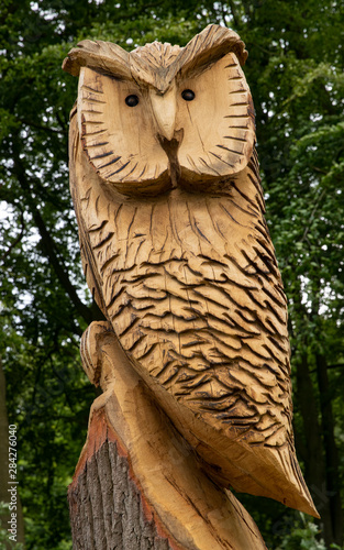 Diever Drente Netherlands woodcutting owl photo