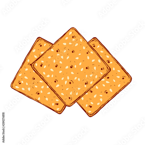 Hand drawn crackers with sesame seeds. Buscuit sketch vector drawing. photo