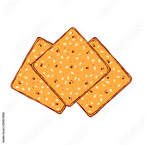 Hand drawn crackers with sesame seeds. Buscuit sketch vector drawing.