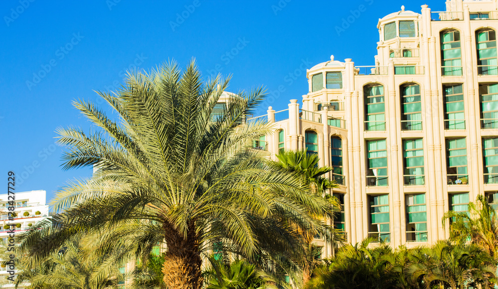 Middle East expensive summer vacation destination palace hotel architecture apartments and palm tree garden nature space foreground 