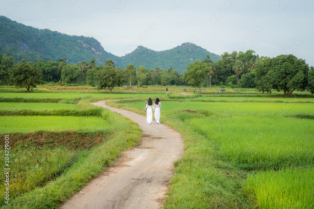 Rural landscape in Vietnam countryside with Vietnamese women wearing traditional dress Ao Dai walking on rural road
