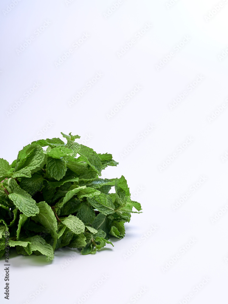 Fresh green mint leaves on white background Fresh green mint leaves on white background