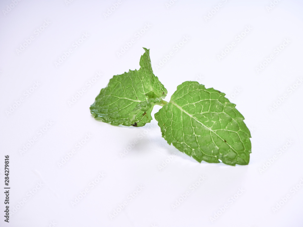 Fototapeta premium Mint leaves isolated on white background