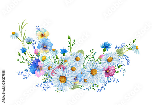 Chamomile flowers,wild flowers .Illustration in watercolor on an isolated white background