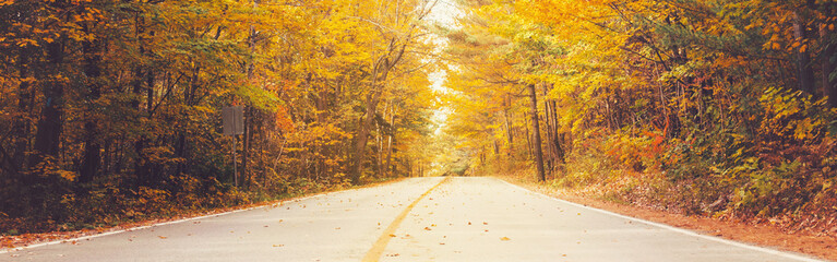 Empty road street in colorful autumn forest park with yellow orange red leaves on trees. Beautiful fall season outdoors. Natural background with copyspace. Web banner header for website.
