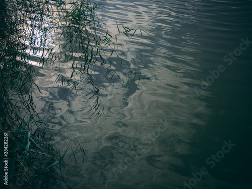 Naklejka Reflections 