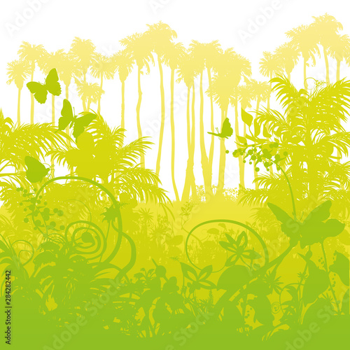 Lange Palmen im Urwald