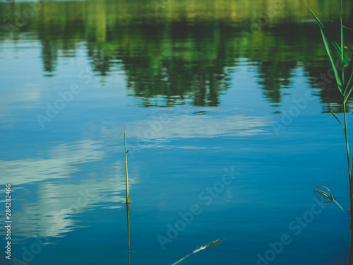 Some reflections on water 