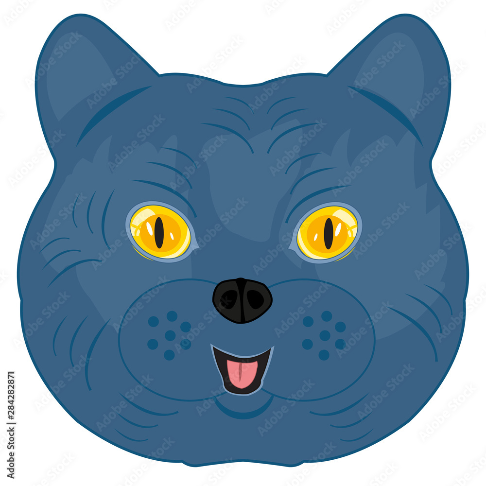 Fotografie British cat on white background is insulated