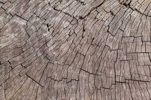 Close up detail of dark brown wooden cracked texture of log. Photo concept for rough, lumber, old, vintage and natural pattern.