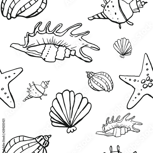 Collection of sea shell ink doodles on white backdrop. Seamless pattern. Endless texture. Can be used for printed materials. Underwater holiday background. Hand drawn design elements. Sea life print. © Diana