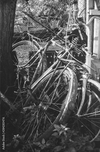 Old abandoned bikes depressively stand by the barn. Black and white film photo of old bicycles