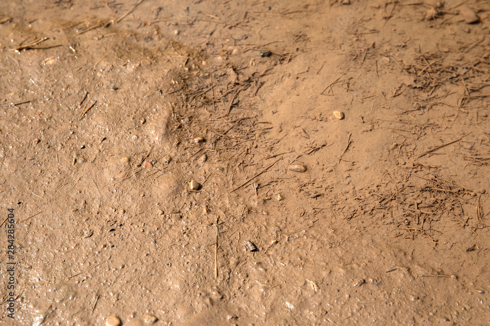 Mud texture background. Natural disaster, rain and hurricane Mud texture background. Natural disaster, rain and hurricane
