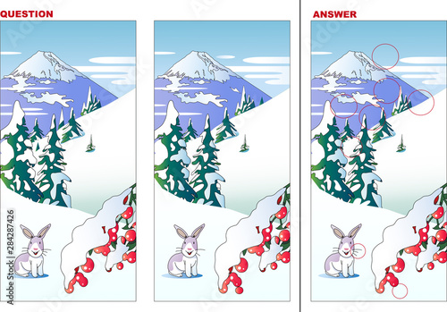 雪とうさぎの風景の間違い探しクイズ Stock Vector Adobe Stock