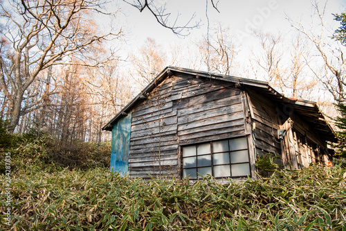 Wooden cottage in the forest. Autumn at Senjogahara plateau in Nikko national park, Nikko Tochigi, Japan ( Ecological engineering methods ) © chuck hsu