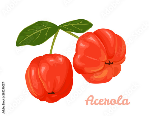 Tableau sur toile Red Acerola berries isolated on a white background