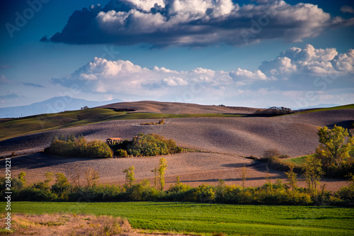 Tuscany fields and olive groves at sunrise