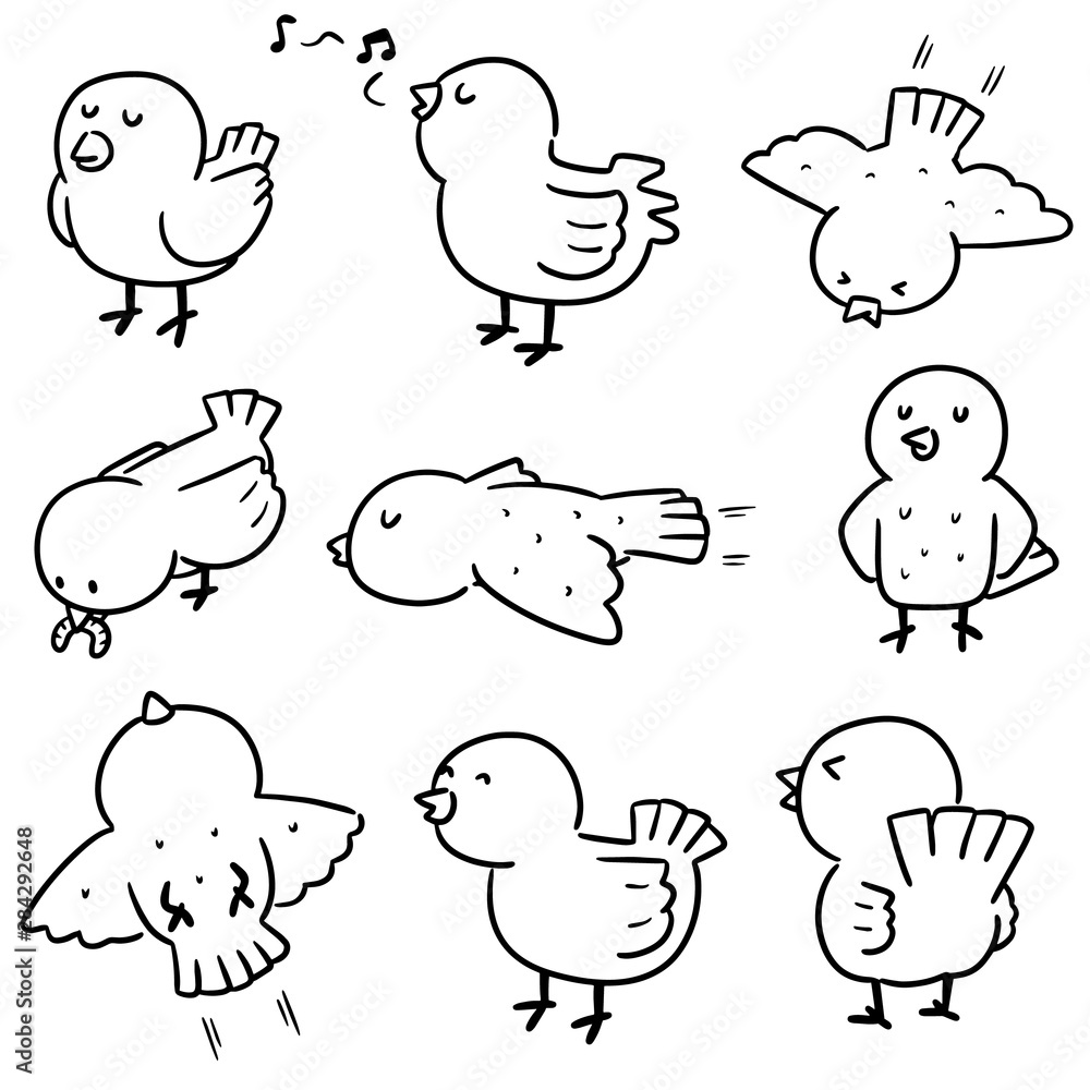 vector set of bird vector set of bird