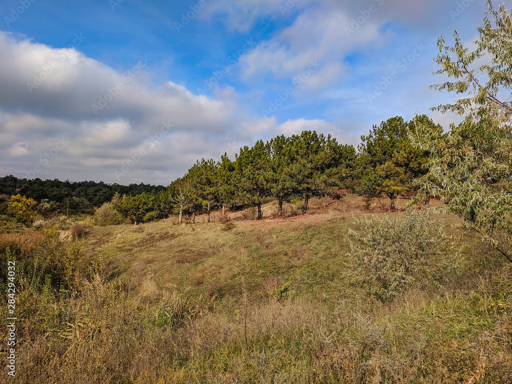 Beautiful landscape of autumn coniferous and deciduous forest Beautiful landscape of autumn coniferous and deciduous forest
