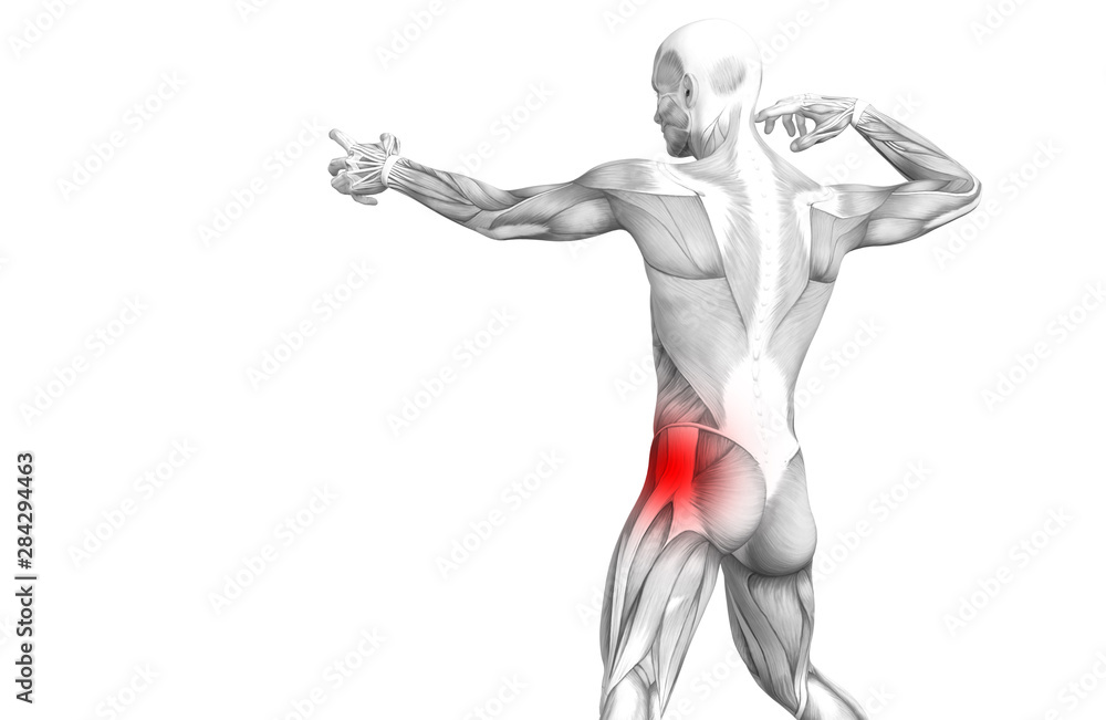 Conceptual hip human anatomy with red hot spot inflammation articular joint pain for leg health care therapy or sport muscle concepts. 3D illustration man arthritis or bone sore osteoporosis disease Conceptual hip human anatomy with red hot spot inflammation articular joint pain for leg health care therapy or sport muscle concepts. 3D illustration man arthritis or bone sore osteoporosis disease
