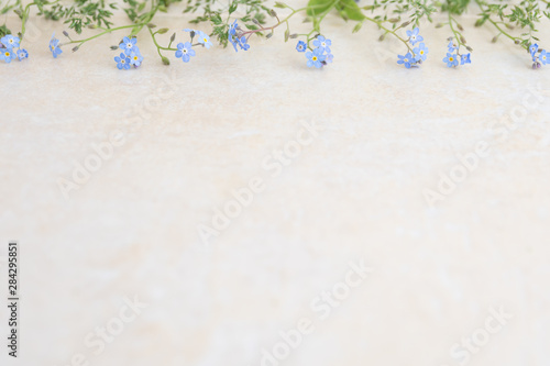 Blue myosotis flowers on a light background. The basis for creating albums and postcards.