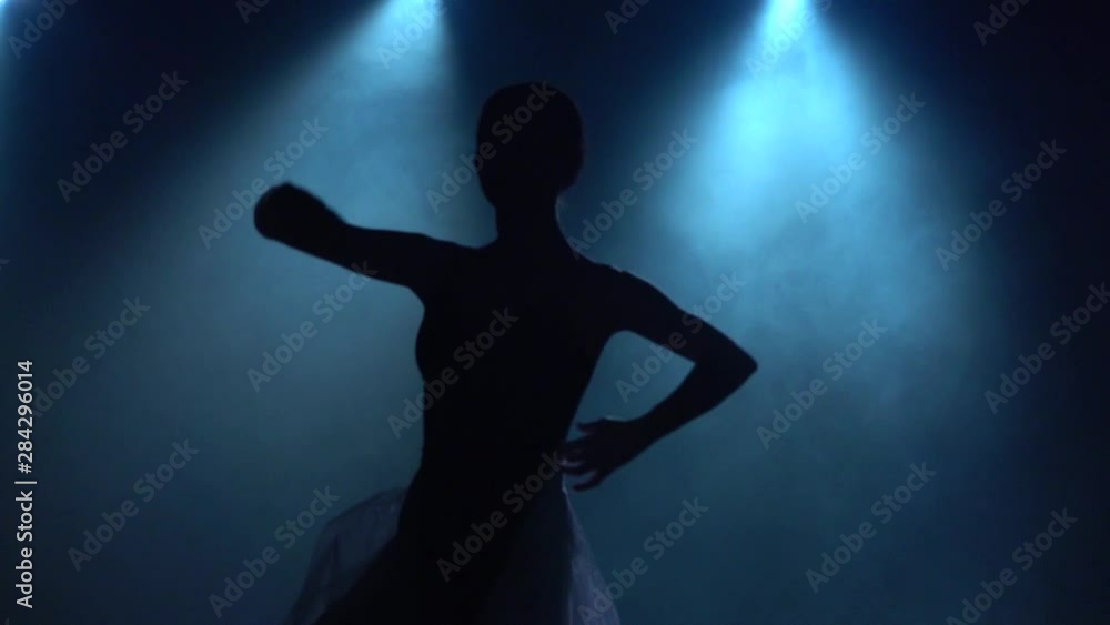 Skilled ballerina dancing classical ballet elements. Close up slow motion. Skilled ballerina dancing classical ballet elements. Close up slow motion.