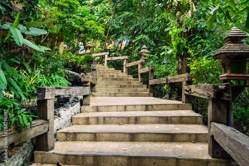 The stairs in the jungle