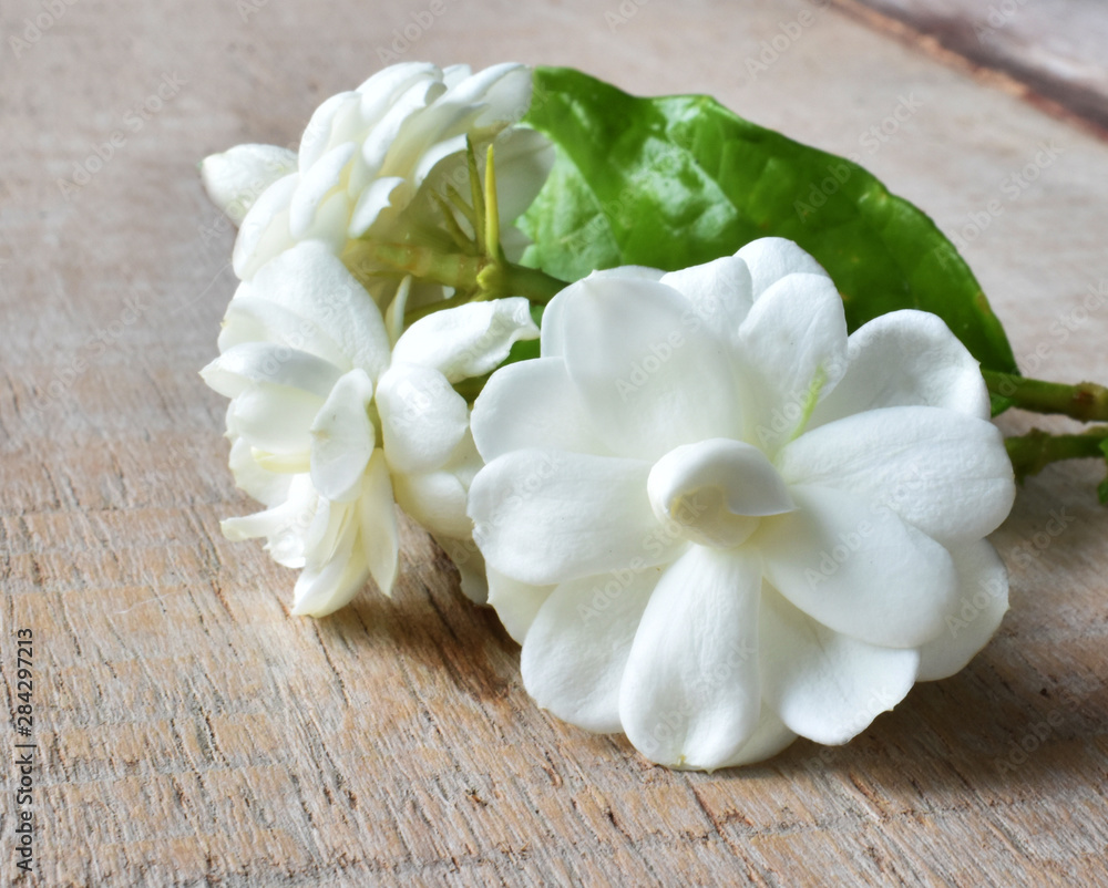 bouquet of white flowers on wooden background bouquet of white flowers on wooden background