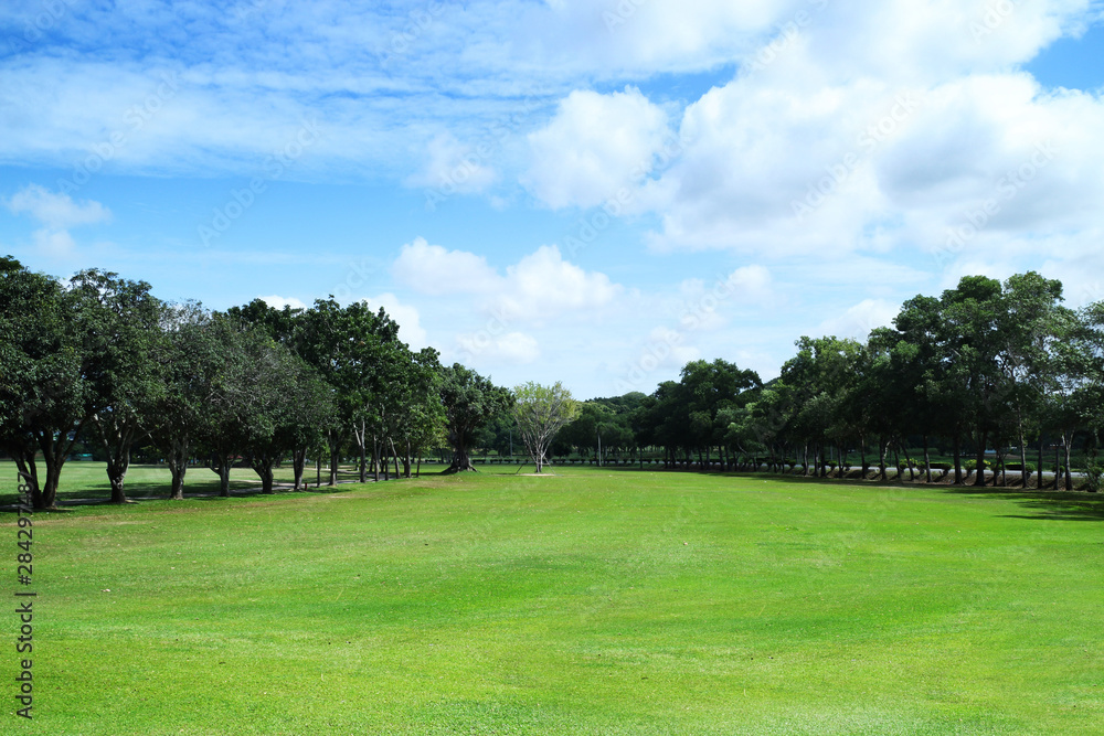 golf course or green grass field in urban public park golf course or green grass field in urban public park