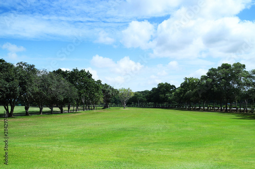 golf course or green grass field in urban public park