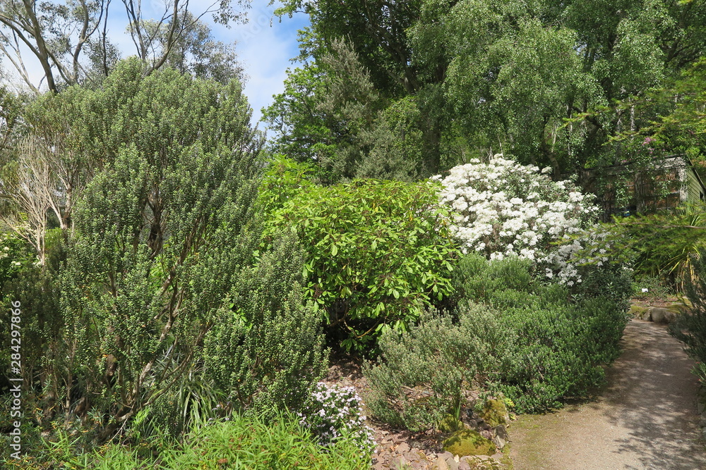 Fototapeta premium Inverewe Garden in Poolewe, Schottland