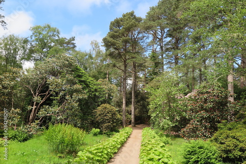Inverewe Garden in Poolewe, Schottland