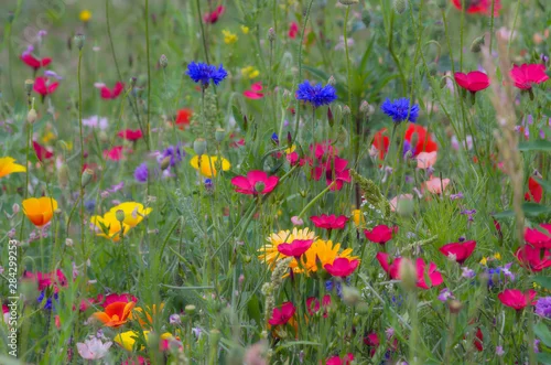 Obraz Duży, mniejszy i najmniejszy