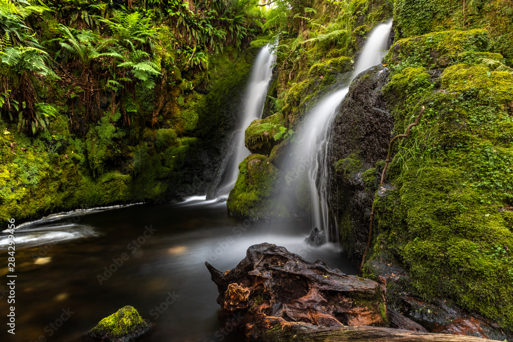 Dartmoor, Devon, England