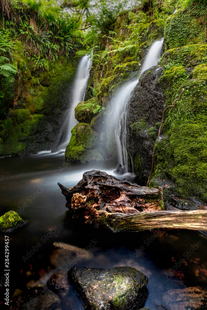Fototapeta premium Dartmoor, Devon, England