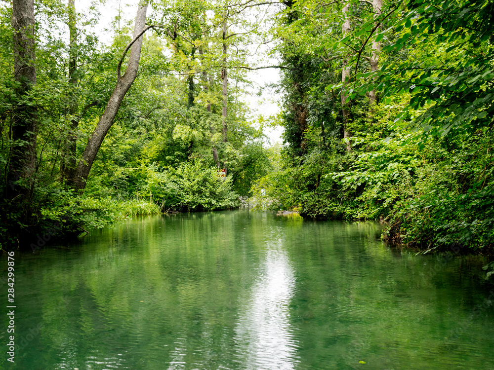 very green river and green forest, rainy summer day very green river and green forest, rainy summer day