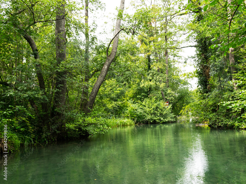 very green river and green forest, rainy summer day very green river and green forest, rainy summer day