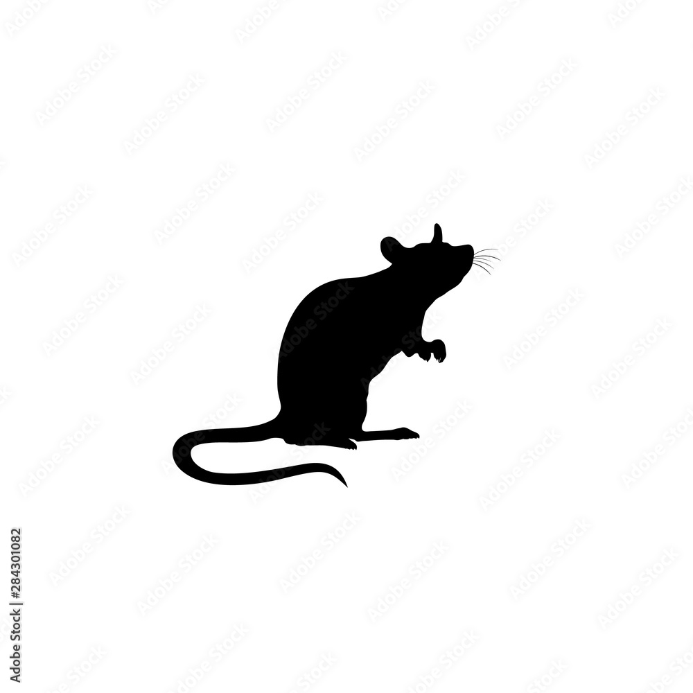 Standing Rat silhouette. Rat icon. vector