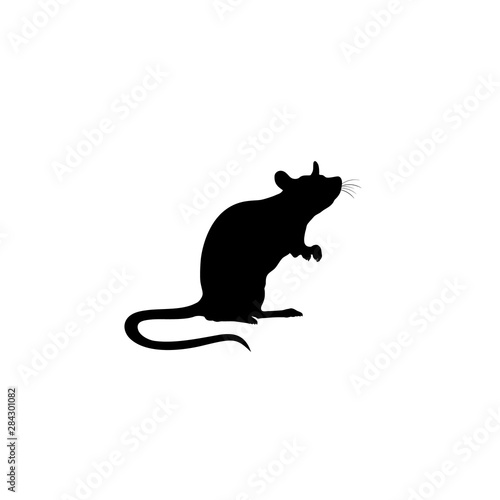 Standing Rat silhouette. Rat icon. vector