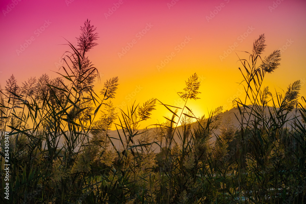 Obraz premium Mountain landscape in the evening. Beautiful lakeshore against mountains. The Hula Valley in northern Israel at sunset