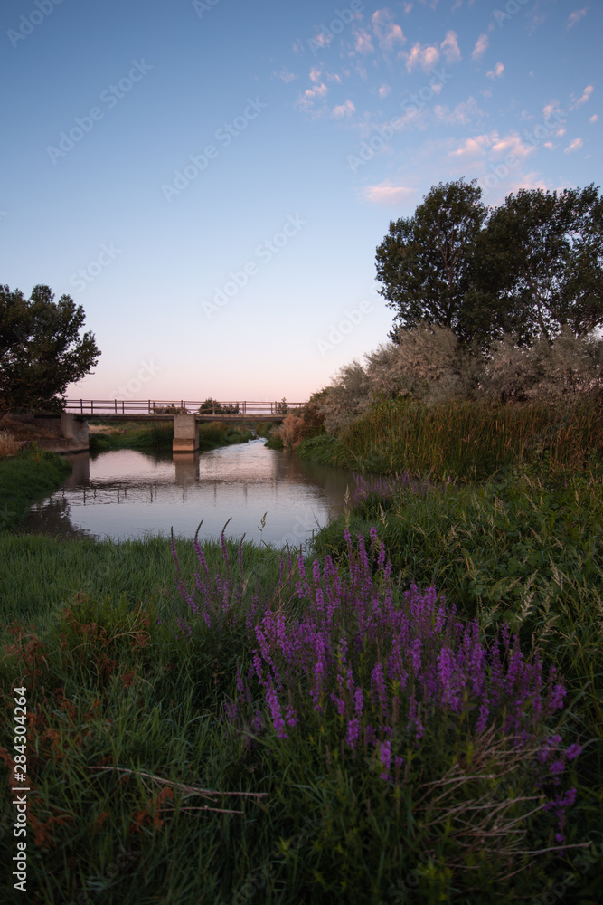 Fototapeta premium Bridges passing through the Jalon river in Torres de Berrellen Zaragoza Spain