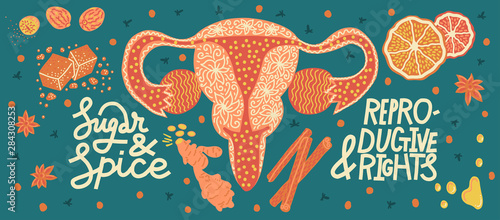 Sugar and spice and reproductive rights. Horizontal banner